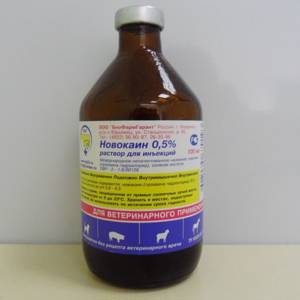 Новокаин 0,5% 100 мл