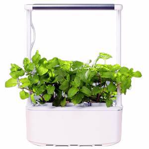 Гидропонная установка HobbyFarm Mini, домашний умный смарт сад, 3 ячейки, с фитолампой