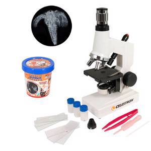 Учебный микроскоп Celestron + Эксперимент "Вырасти живых рачков"