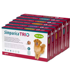 Simparica TRIO für Hunde