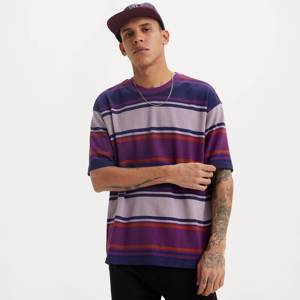 Levi's® Skateboarding™ Graphic Boxy T-shirt