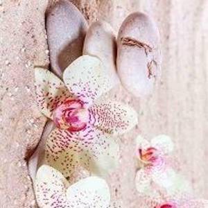 НХ-004 Нежные орхидеи на песке