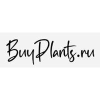 BuyPlants.ru - интернет-магазин кашпо и растений №1 в России | Доставка по Москве и регионам