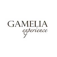 Gamelia - фирменный магазин пальто фабрики в Москве, женские пальто оптом от производителя