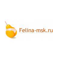 Felina-msk