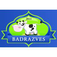 Badrazves - спорттовары