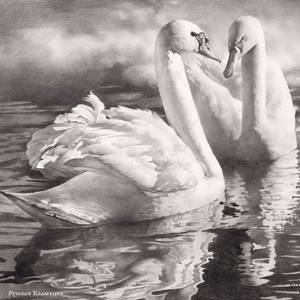 "Два лебедя" Картина на холсте