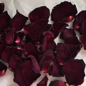 Rose Petals Burgundy Wedding Flower Organic Exquisite ~ Rose Water Fragrant Petal Flowers Dried Edible Tea