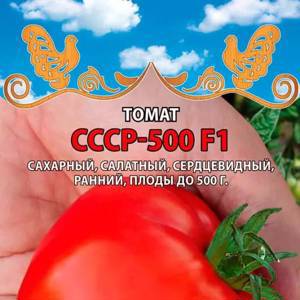 Томат СССР-500 F1, 0,05 г Любовь да голуби