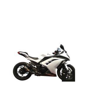 NINJA 300 SLIP ON EXHAUST SYSTEM