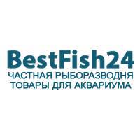 Bestfish24 — рыборазводня, 280 видов аквариумных рыбок, 4000 товаров для аквариума!