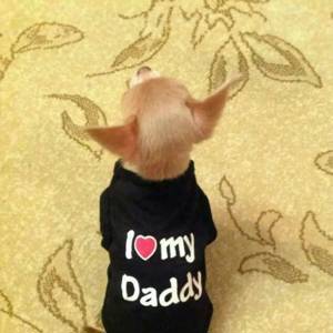 Valentine's Day I Love My Daddy Printed Small Dog Vest, Sleeveless T-Shirt, Pet Clothes