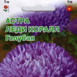 Астра Леди Коралл Голубая 10шт Биония