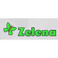 Zelena - платки и палантины по оптовым ценам