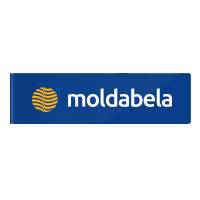 Ковры оптом - Moldabela