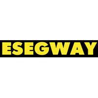 Esegway