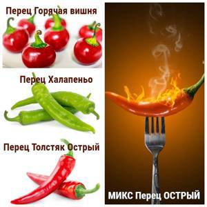 Рассада МИКС ОСТРЫЙ ПЕРЕЦ (кассета 6шт)