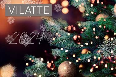 Видео-поздравление с Новым Годом от команды VILATTE!