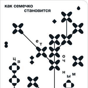 Как семечко становится цветочным полем