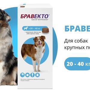 Бравекто (MSD Animal health) 1000мг от блох и клещей для собак 20-40кг 1таб. (12 недель) (ЛИЦЕНЗИЯ)