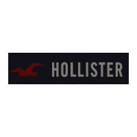 Hollisterco одежда