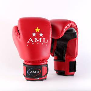 Перчатки AML STAR боксерские