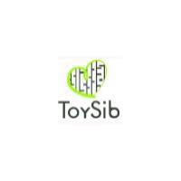 ToySib -  Производство авторских игр. Доставка по всей России.